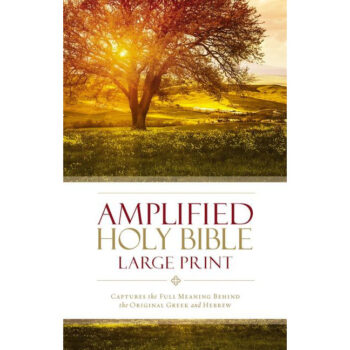 Englanti - Amplified Holy Bible Large print tuotekuva1