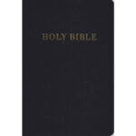Englanti - KJV - Gift & Award Bible tuotekuva1