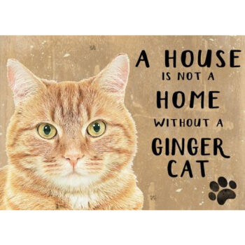 Ginger kissa -peltikyltti tuotekuva1