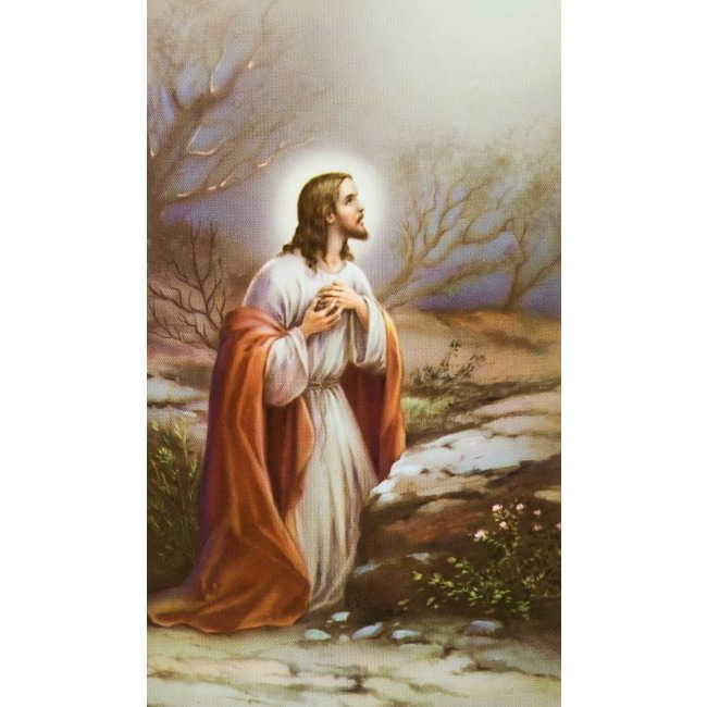 Jeesus Getsemanessa - pyhäkoulukuva 25125 tuotekuva1