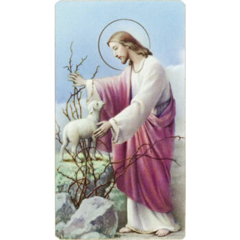 Jeesus ja kadonnut lammas - pyhäkoulukuva 100-101 tuotekuva1