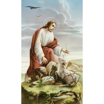 Jeesus ja kadonnut lammas - pyhäkoulukuva 25052 tuotekuva1