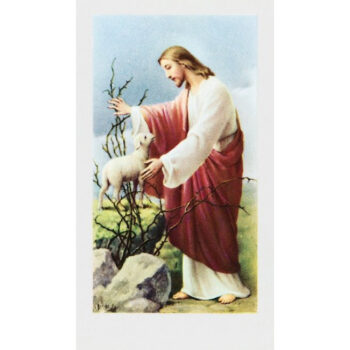 Jeesus ja kadonnut lammas - pyhäkoulukuva 3-0144 tuotekuva1