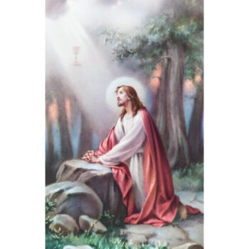 Jeesus rukoilee - pyhäkoulukuva 1618 tuotekuva1
