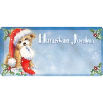 Pakettikortti Hauskaa Joulua D2501 tuotekuva1