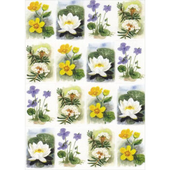 Tarra-arkki Kosteikon kukkia LOT52 tuotekuva1