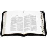 Pyhä Raamattu, isokoko, reunahakemisto, kultasyrjä, vetoketju, musta, 33/38, tuotekuva2