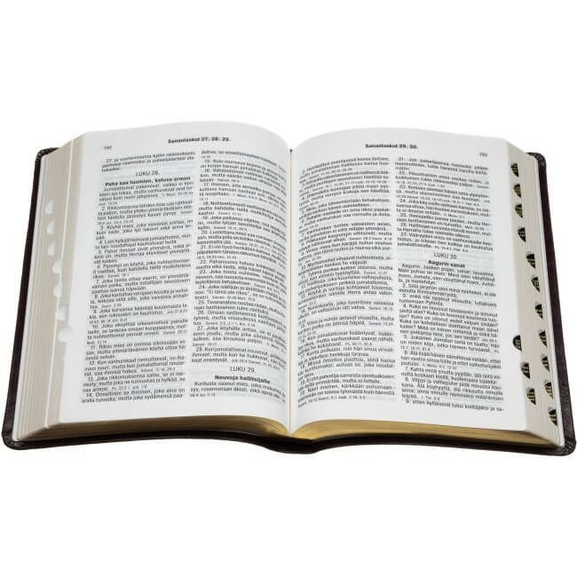 Pyhä Raamattu, isotekstinen, reunahakemisto, kultasyrjä, viininpunainen, 33/38, tuotekuva2