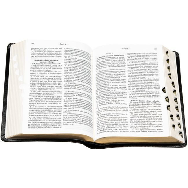 Pyhä Raamattu, reunahakemisto, kultasyrjä, musta, 33/38, tuotekuva2
