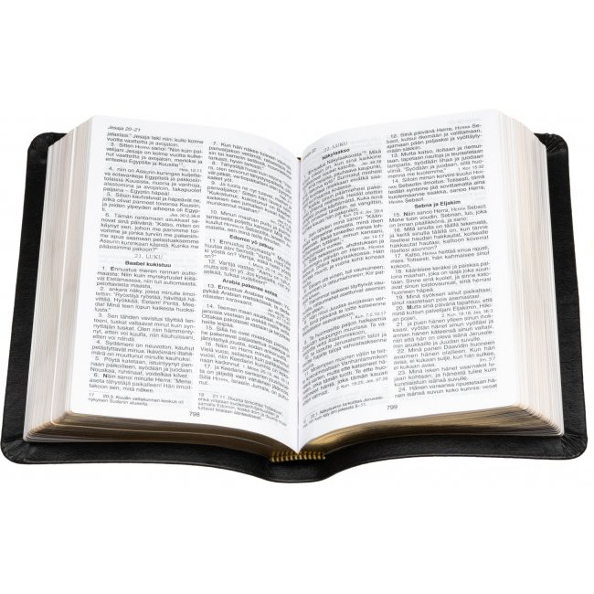 Raamattu, keskikoko, kultasyrjä, musta, RK, tuotekuva2