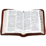 Raamattu, keskikoko, vetoketju, reunahakemisto, kultasyrjä, ruskea, RK, tuotekuva2
