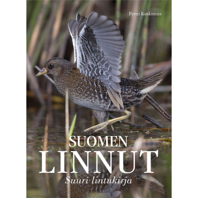 Suomen linnut - Suuri lintukirja tuotekuva1