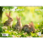 Eläinlapset 2024 (seinäkalenteri) tuotekuva1