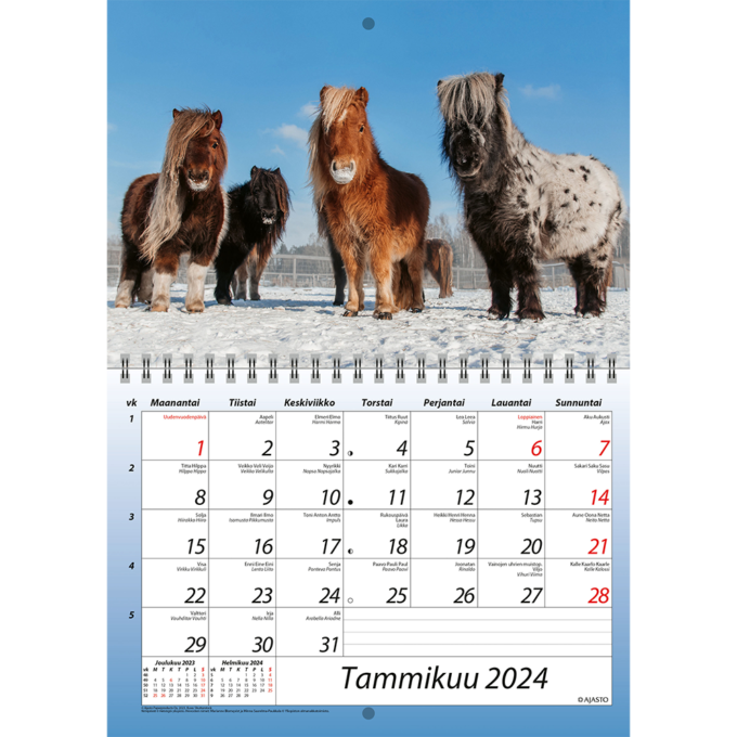 Hepat ja ponit 2024 (seinäkalenteri) tuotekuva2