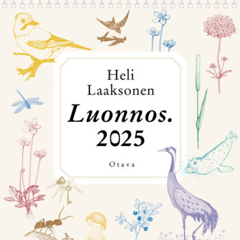 Luonnos seinäkalenteri 2025 tuotekuva1